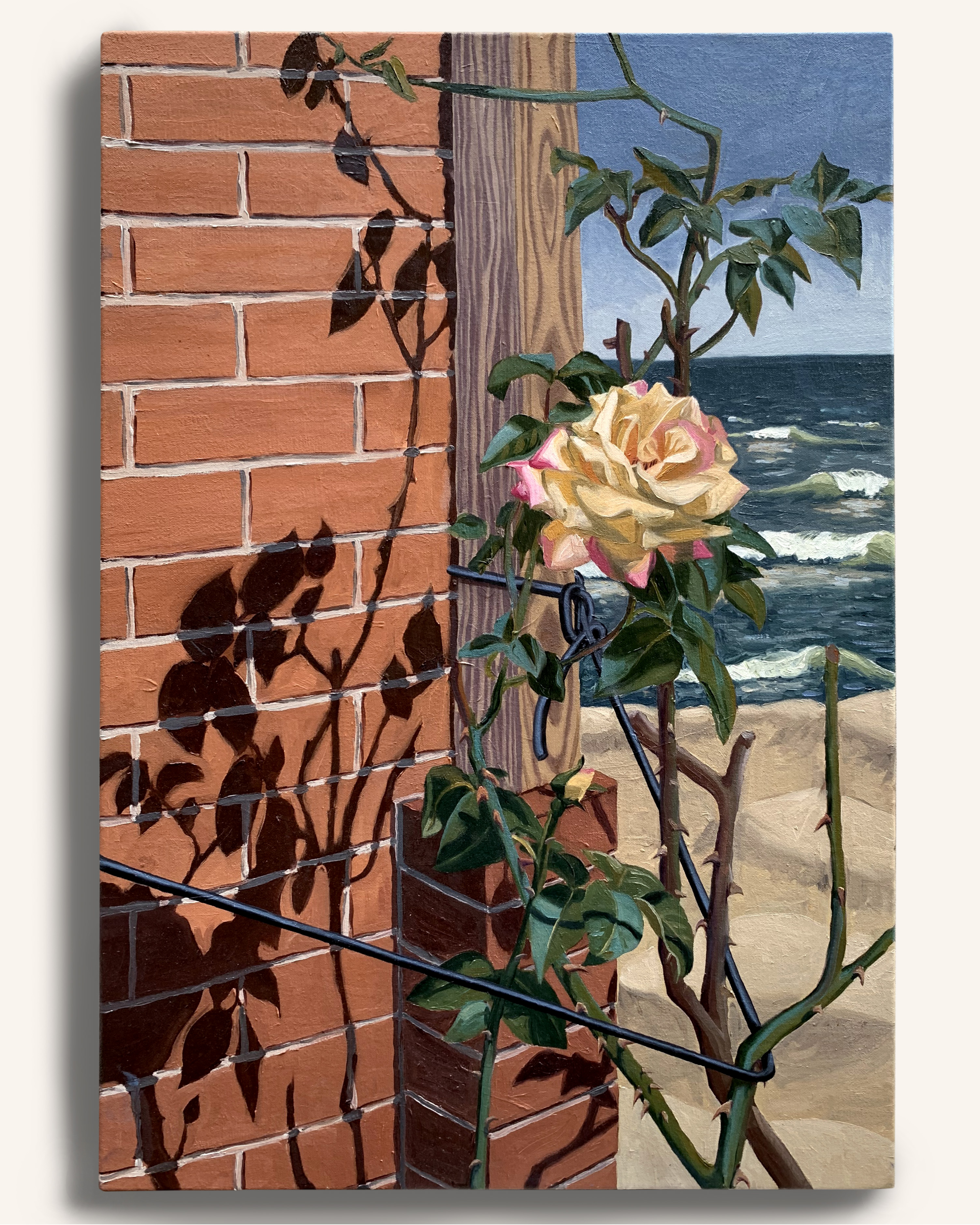 Tied in Shadows, Clear Horizon, 20x30” 2022 <br>oil on canvas<br><br>